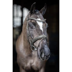 Voorkant -Lemieux Verkoopwinkel hoofdstel lemieux arika dressage zwart 1500x1500 185341